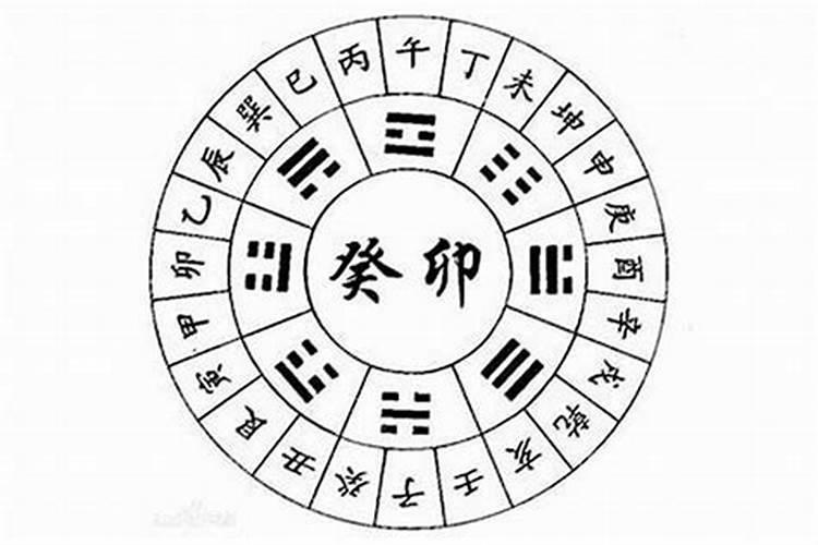 我是1982年农历七月十五晚上亥时出生生格如何？