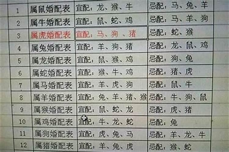 男属狗的和什么属相最配