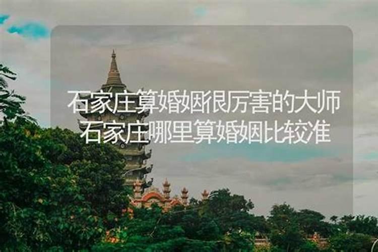 石家庄桥西区婚姻登记处在什么地方？谢谢