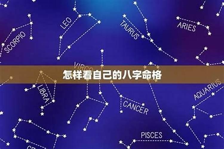 2025年属狗的运势和财运