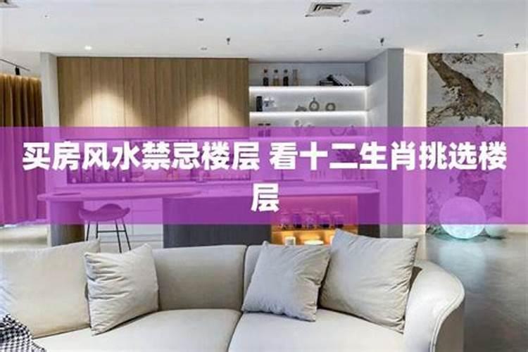 ...相克严重嘛,买房买到和自己属相不合的房子怎么办