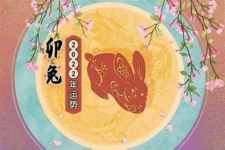 生肖兔今年运势2025年每月运势