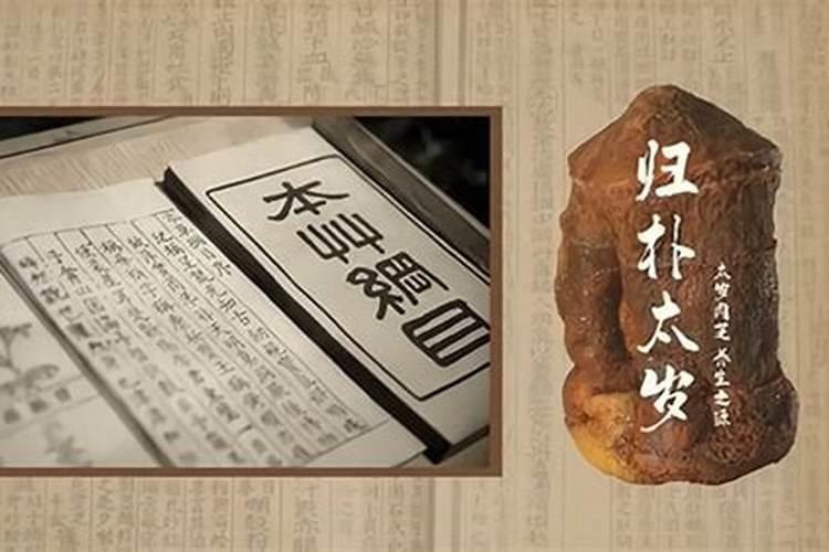 太岁是什么意思太岁的有什么用途