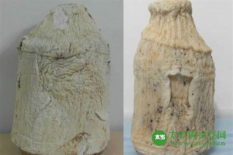 如何从八字看配偶样貌？