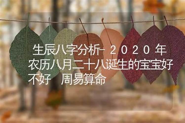 农历12月28日能回家日子好吗？