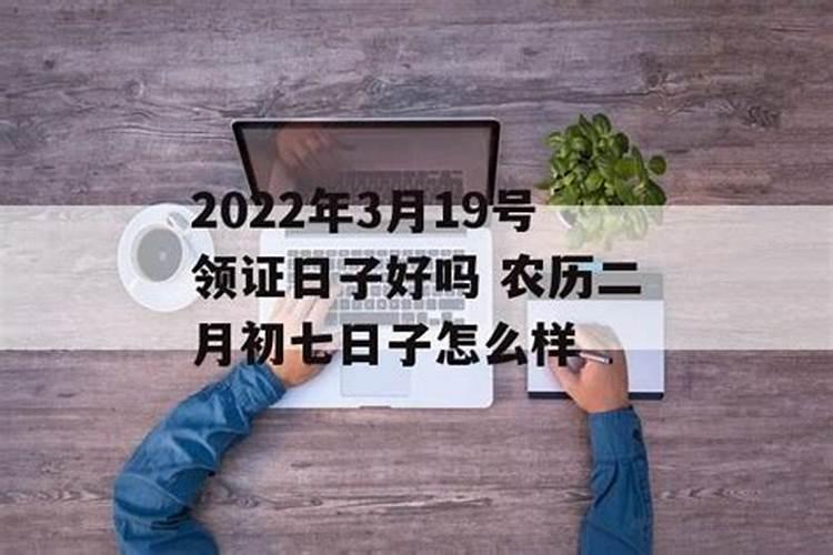 做梦梦到好大的蛇是什么征兆？