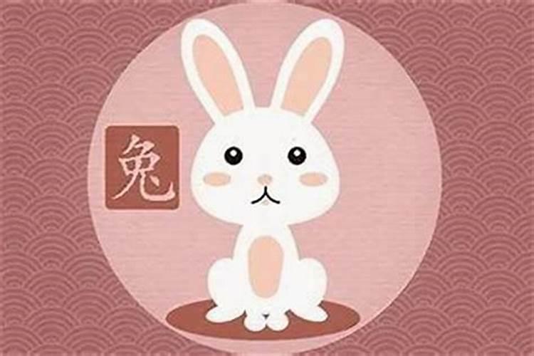86火虎适合戴什么饰品