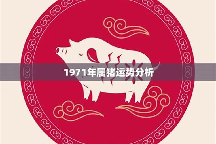 1971年的猪2025年运势如何？