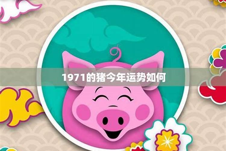 1971年属猪女晚年命运好不好1971年属猪女的运势如何
