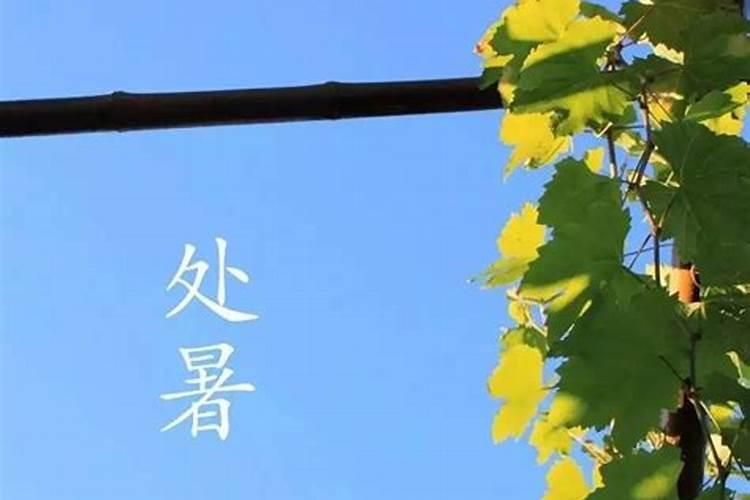 摸秋是什么意思啊？