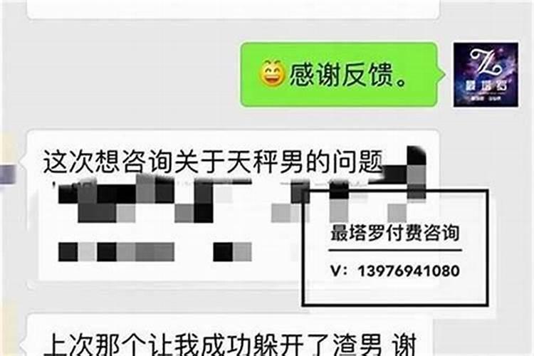 属马人2025年全年运势运程