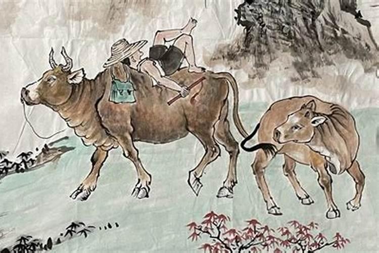 1972年属鼠人适合做什么生意和行业51岁属鼠兔年全年运势？