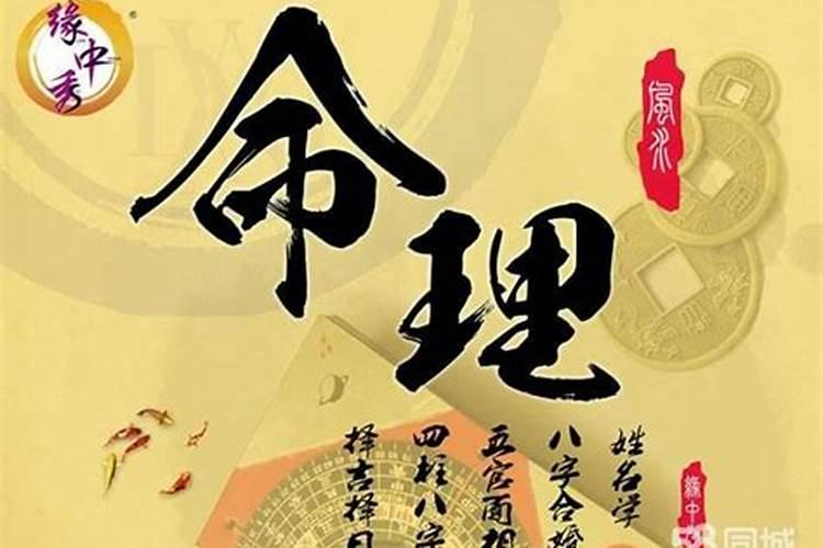 男猪女兔婚姻怎么样