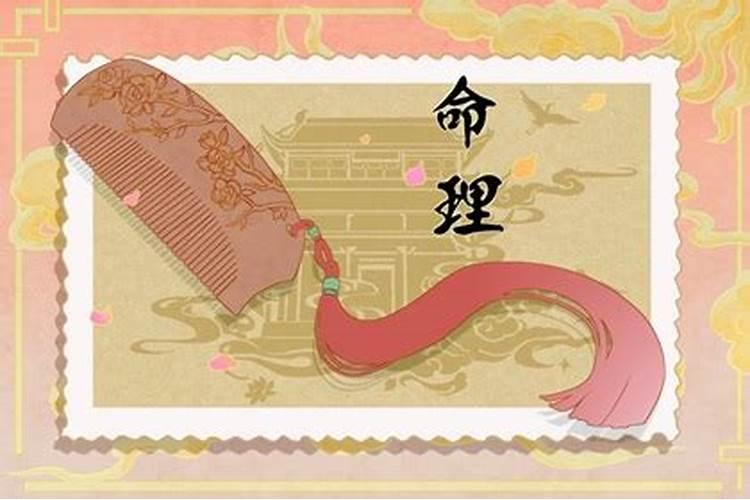 火猪是哪些年份 丁亥年就称为火猪年？