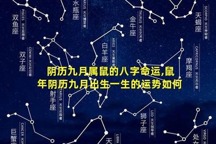 农历九月出生的属鼠人运程