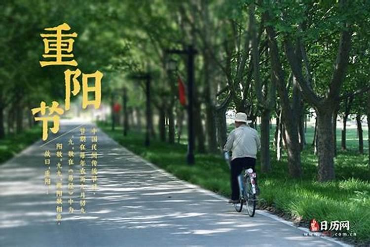甲己合化土会怎么