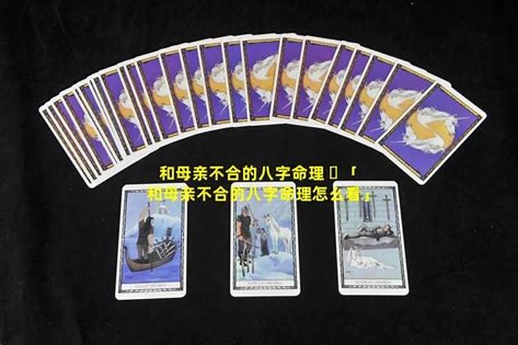 属猴和属鸡的婚姻好吗？