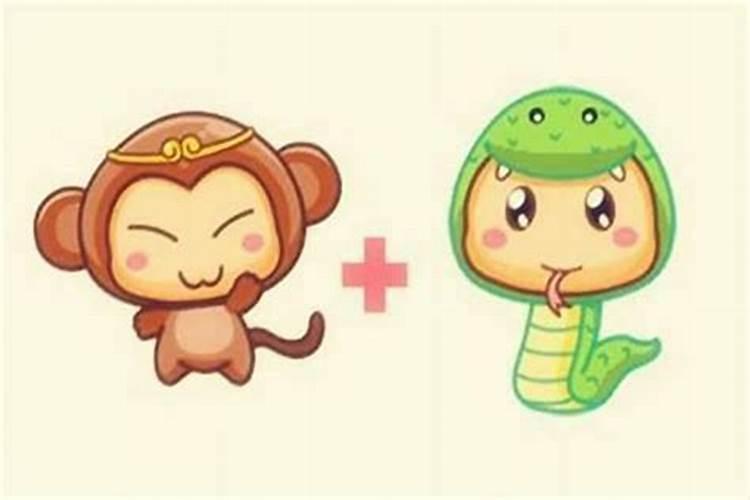 蛇和猴到底克还是合