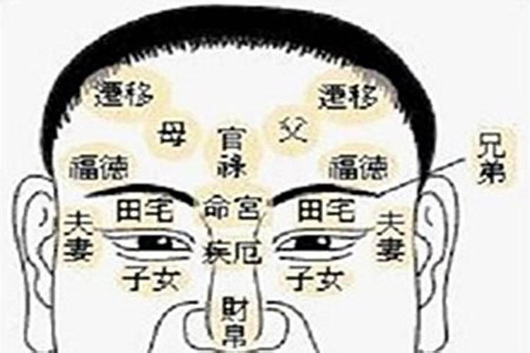 属牛男2025年的运势及运程
