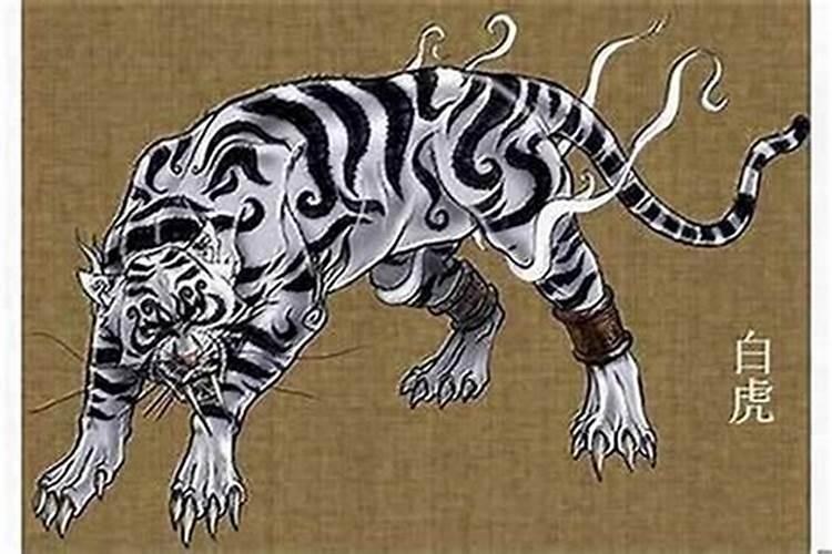 家门口出现了一只猫是什么预兆