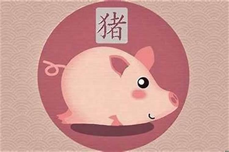 2025年属猪的全年运势