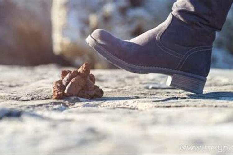 女人梦见一只脚踩了屎