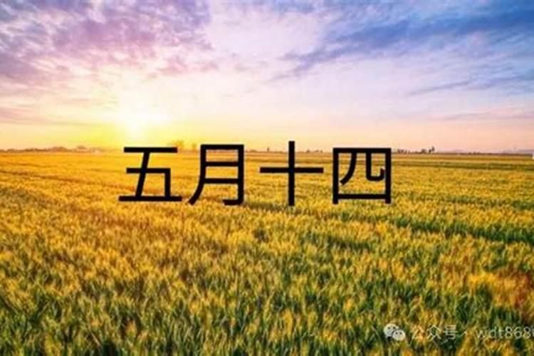 五月十四日是什么情人节？？？