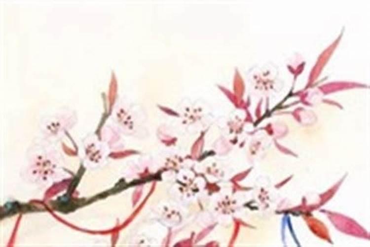 五月十四是什么日子