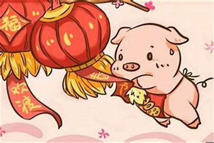 属猪犯太岁？
