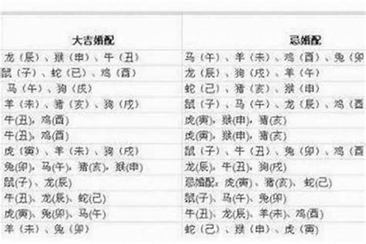 74年农历4月18男和82年农历2月初八结婚怎么样？