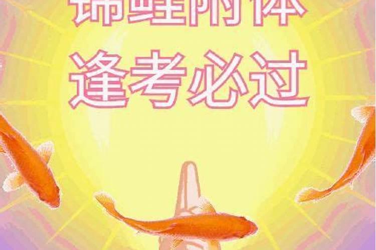 91年属羊2025年运势及运程