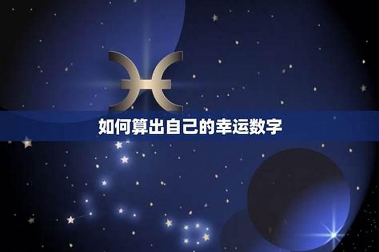 2025年94年属狗人的全年运势详解