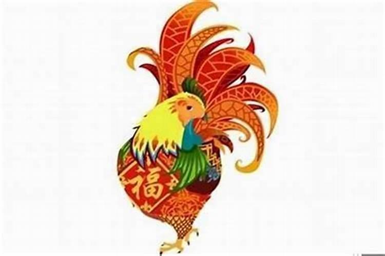 属鸡的人命好吗 属鸡人出生月的命运？