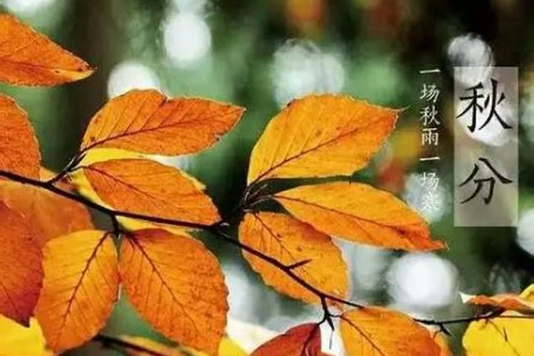 立夏是几月几号 立夏简单介绍