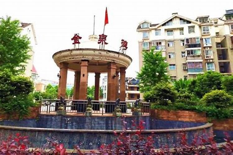辛金命蕞佳大运解析与选择