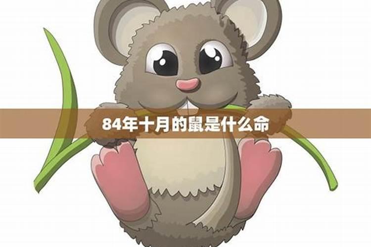 鼠年寒衣节出生的男生命好不好八字分析