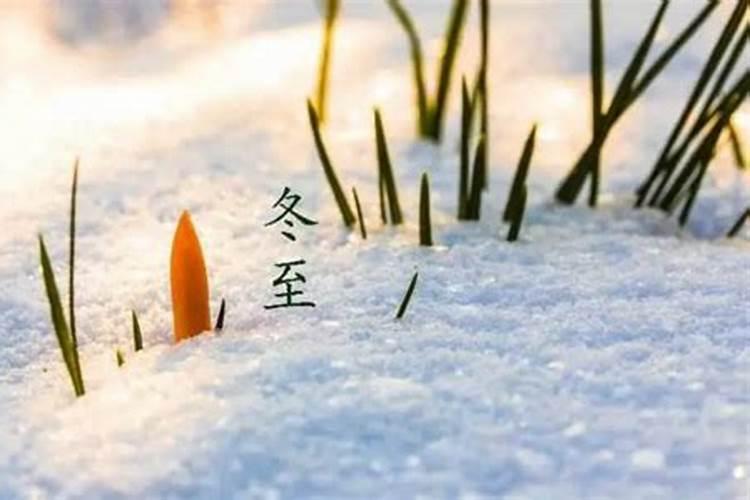 2024杭州清明节扫墓如何进行预约