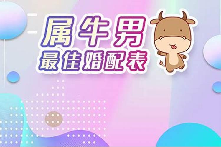 牛跟什么合婚