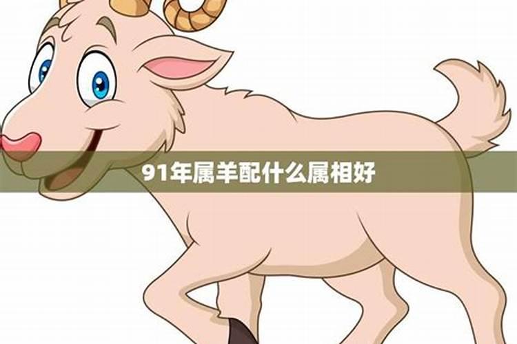 属羊最佳婚配前十名属相