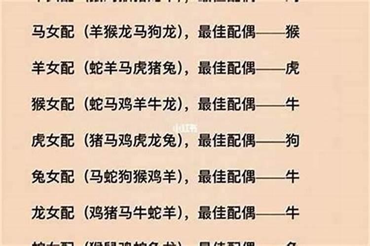 属羊的属相婚配表