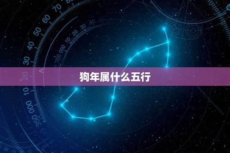 1982年属狗女2024年全年运势及每月运势