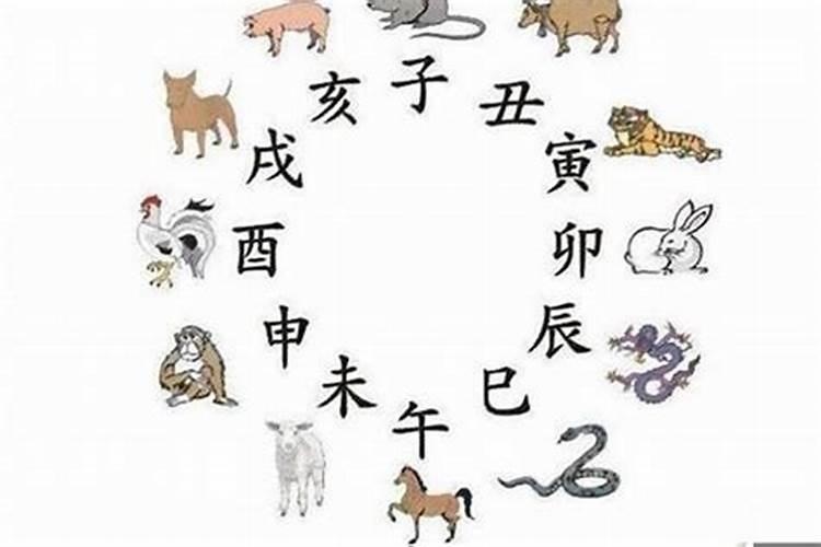 属羊的和属虎命里相冲吗