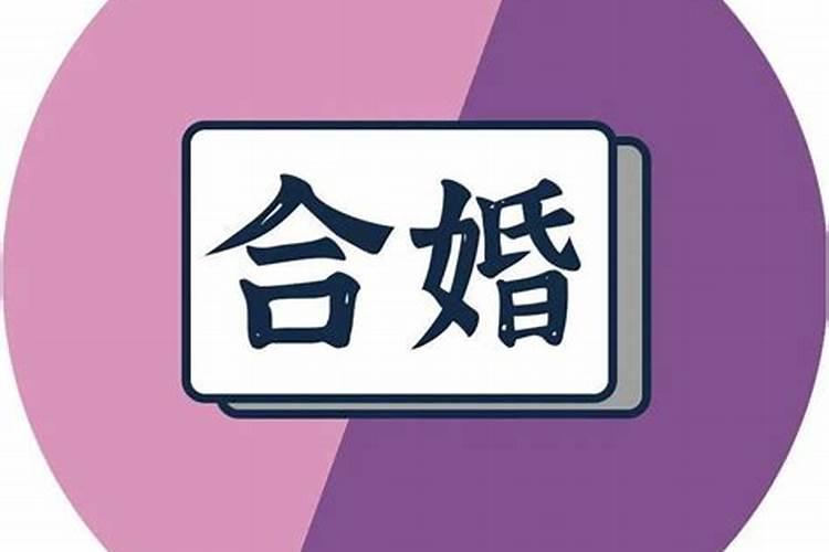 属猪和属猪合婚好不好两个属猪的人婚配好吗