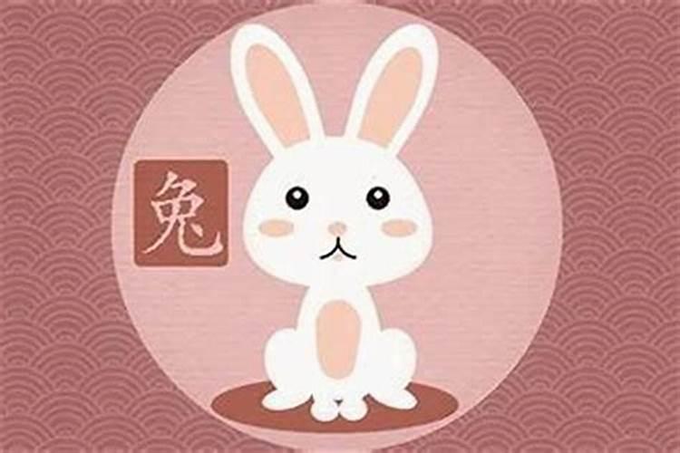 属羊和属兔的合不合