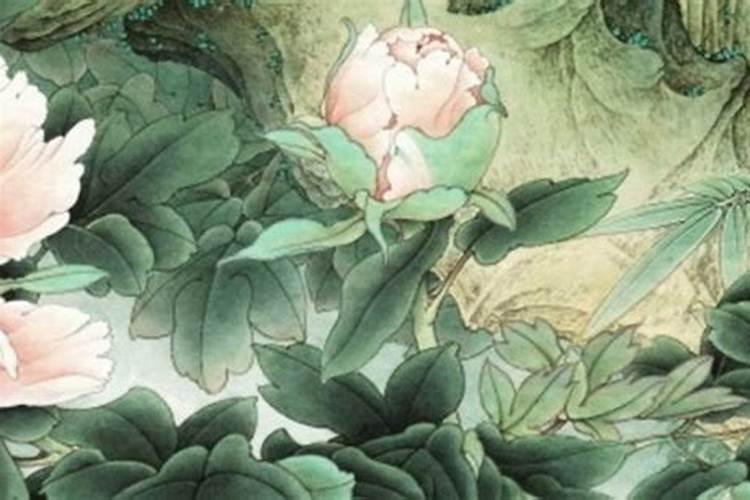 六月属兔的命运如何