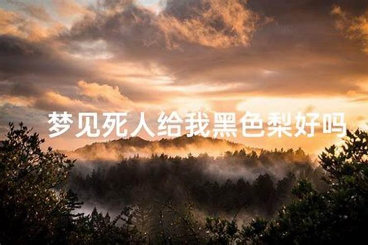 2025年苏民峰12生肖运程