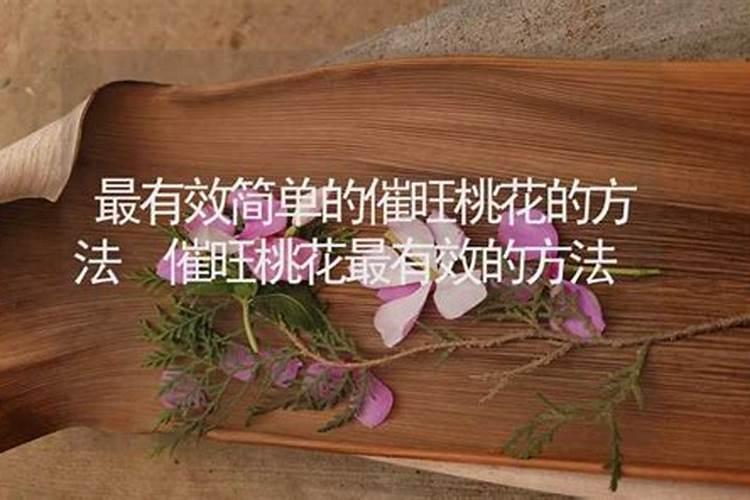 女人梦见鸭蛋什么意思预兆