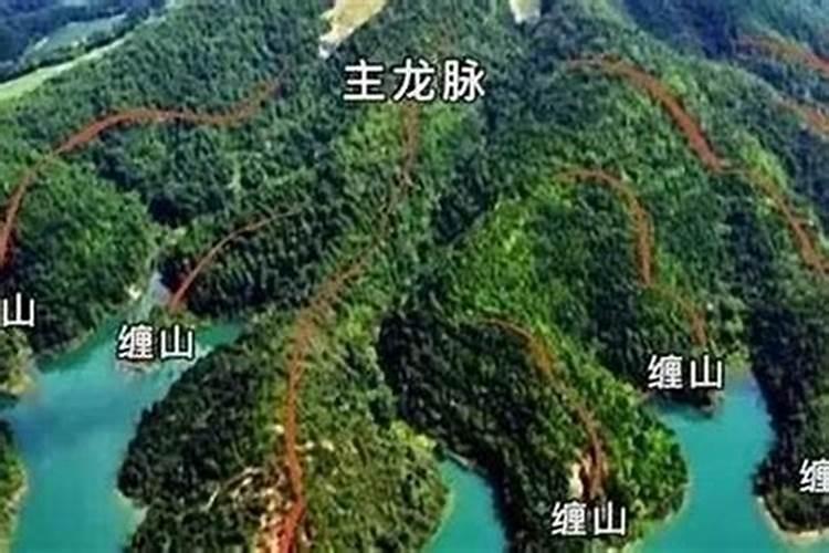 属牛的和什么不合 属相相冲的化解方法？