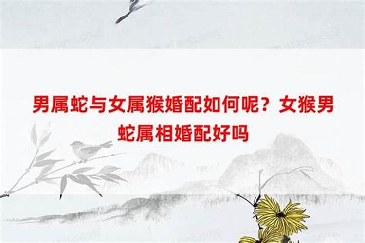 男蛇女牛适合做夫妻吗 属相婚配解析