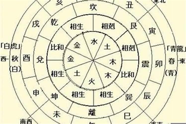 四柱八字中的天干地支各代表什么属性？